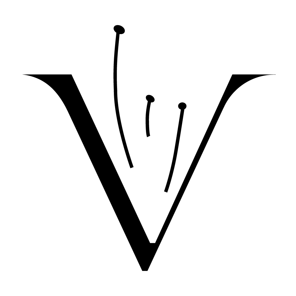 LOGO v3 V only B-01